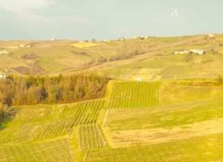 Servir a Dios por amor