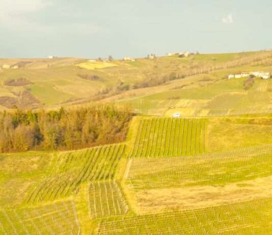 Servir a Dios por amor