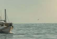 Dios, nuestro proveedor