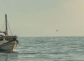 Dios, nuestro proveedor