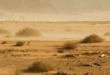 Seguro en las manos de Dios