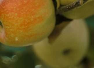 Cosecha sus bendiciones