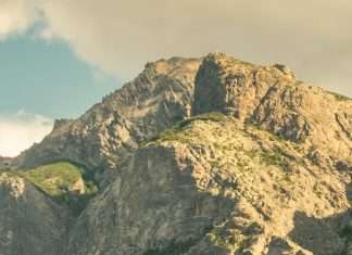 Agentes de un Rey superior