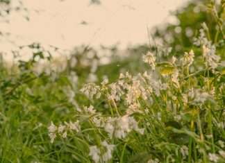 La responsabilidad es importante