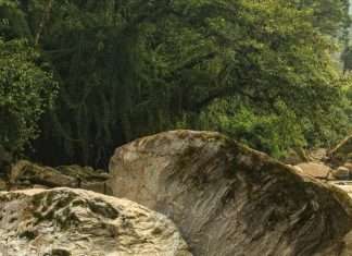 Perdido, pero ahora encontrado