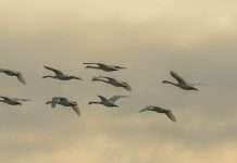 Mantenerse en armonía