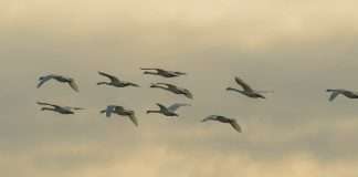 Mantenerse en armonía