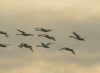 Mantenerse en armonía