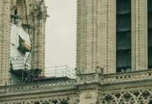 Esfuerzos por restaurar