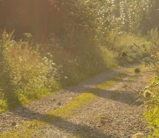 Bajo la mirada de Dios