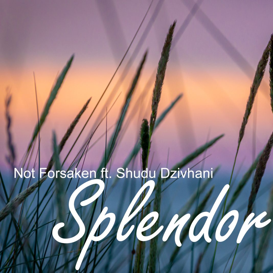 Not Forsaken