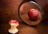 Trastornos Alimenticios: Síntomas, Tipos y Cómo Prevenirlos Anorexia Bulimia