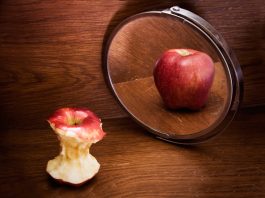 Trastornos Alimenticios: Síntomas, Tipos y Cómo Prevenirlos Anorexia Bulimia