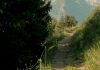 Camino de Santidad