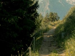 Camino de Santidad