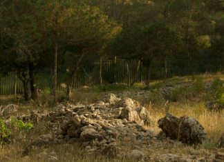 Heridas que edifican y sanan